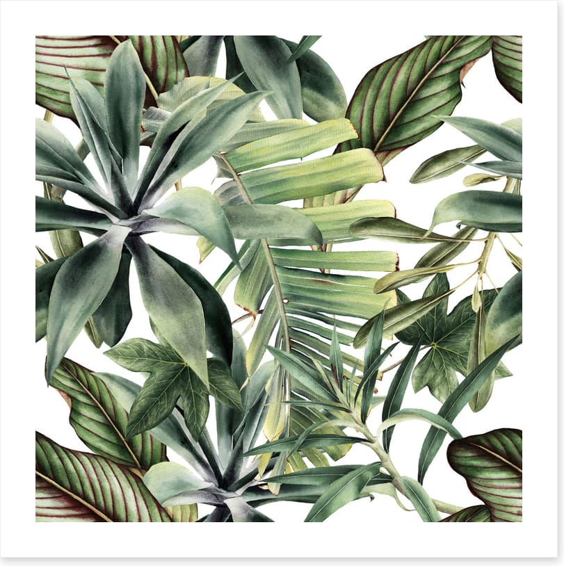 Leaf