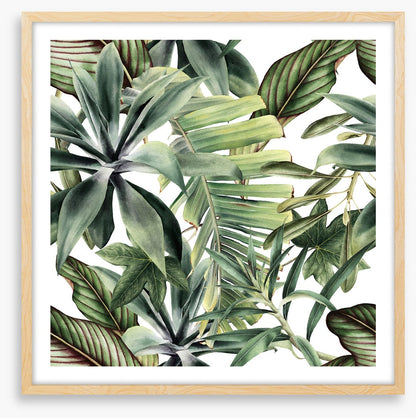 Leaf