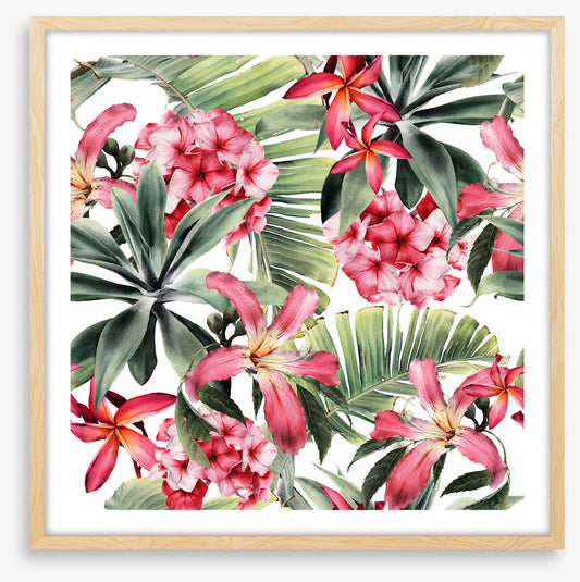 Polynesian petals