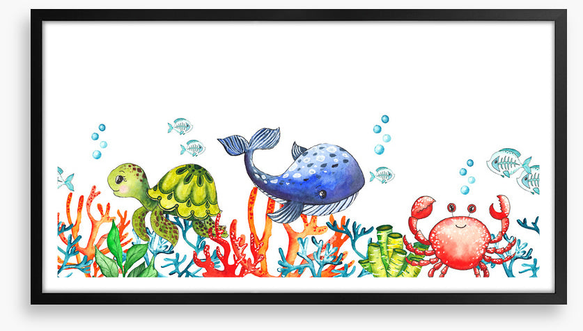 Coral congregation