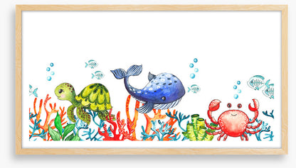 Coral congregation