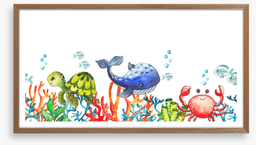 Coral congregation