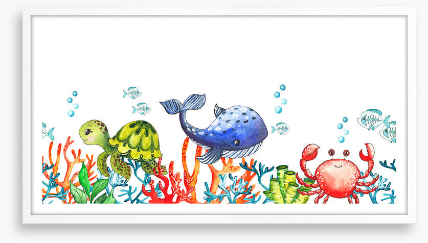 Coral congregation