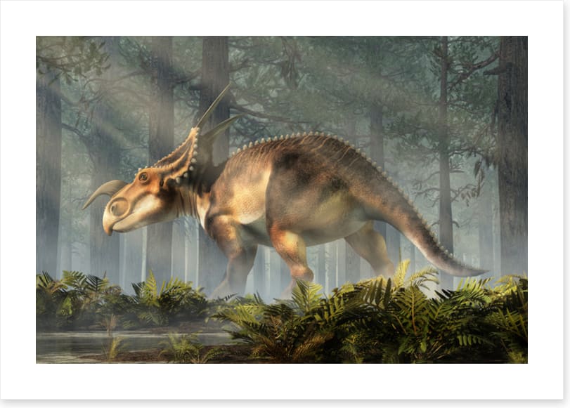 Einiosaurus explore