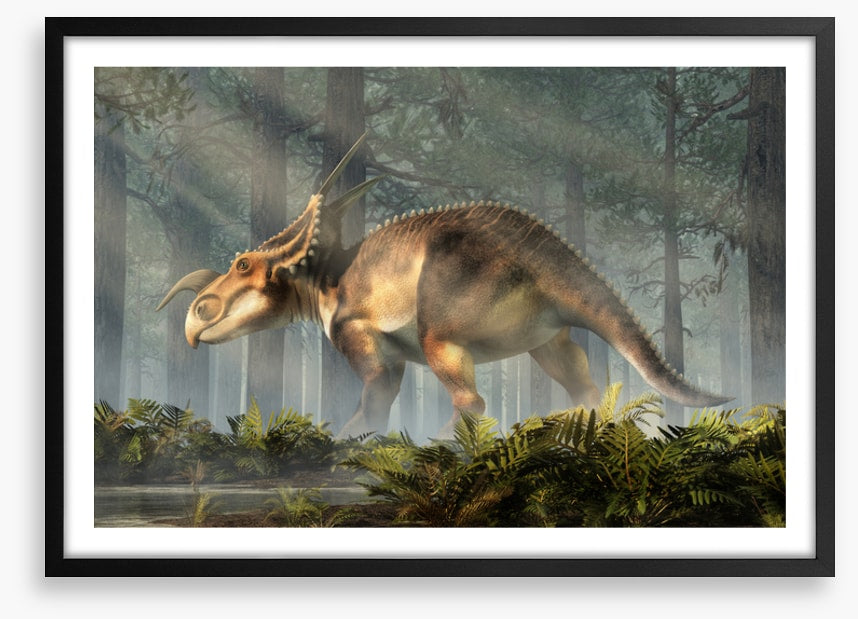 Einiosaurus explore