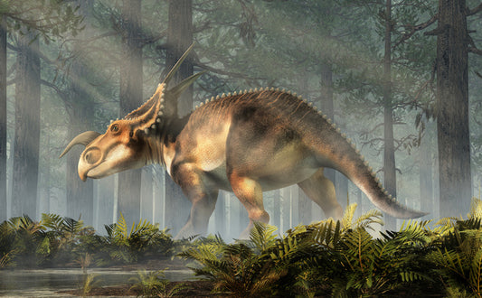 Einiosaurus explore