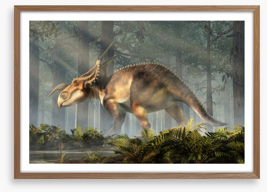 Einiosaurus explore