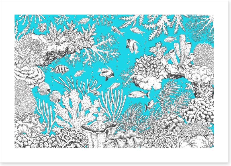 In the aqua sea