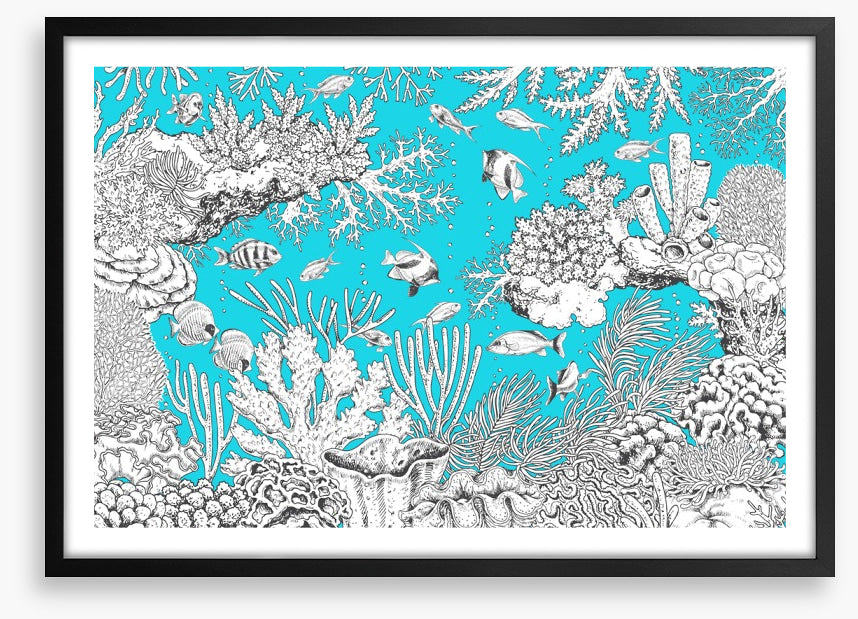 In the aqua sea