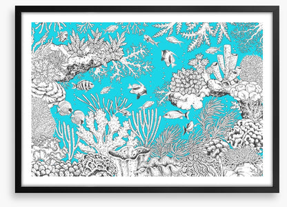 In the aqua sea