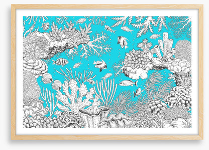 In the aqua sea