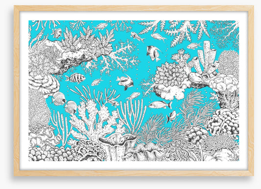In the aqua sea