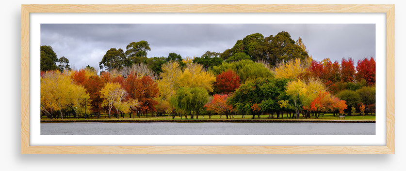 Cloudy autumn panorama