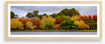 Cloudy autumn panorama