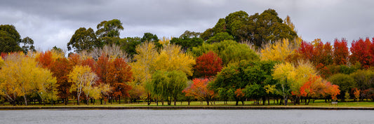 Cloudy autumn panorama