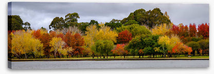 Cloudy autumn panorama