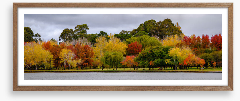 Cloudy autumn panorama