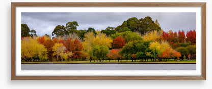 Cloudy autumn panorama