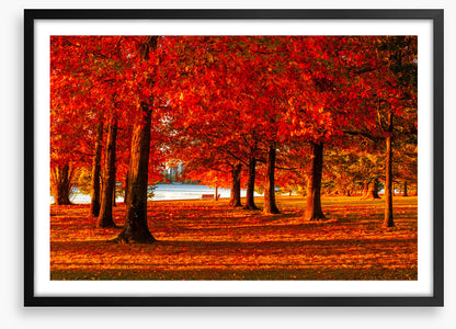 Nara Peace Park autumn