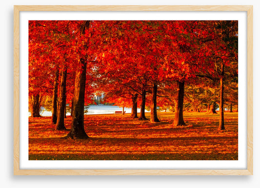 Nara Peace Park autumn