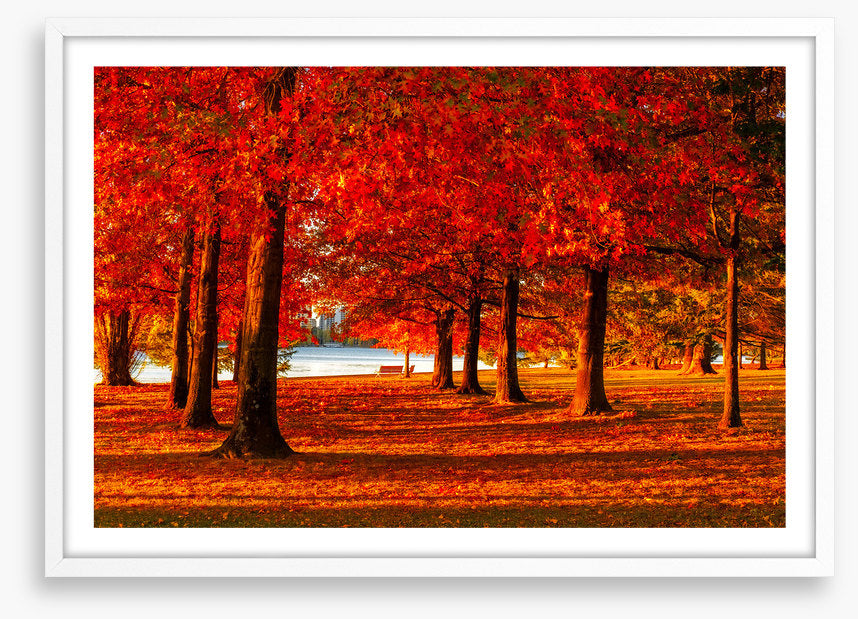 Nara Peace Park autumn
