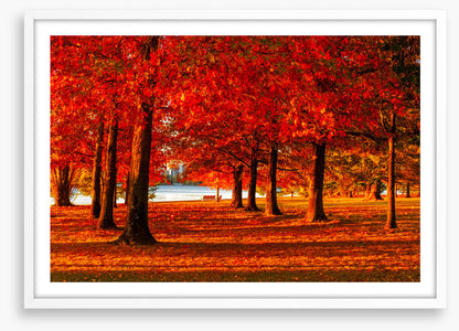 Nara Peace Park autumn