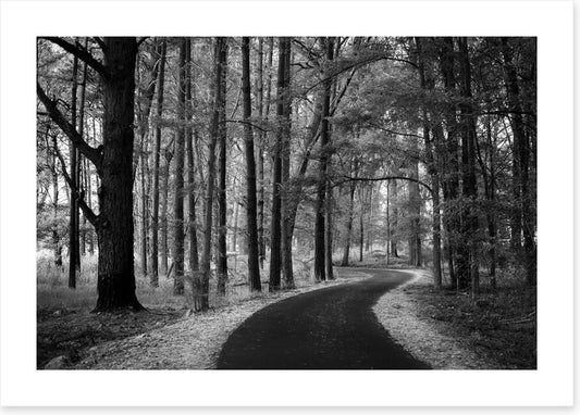 The winding path