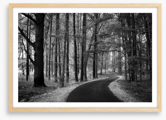 The winding path