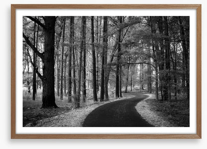 The winding path