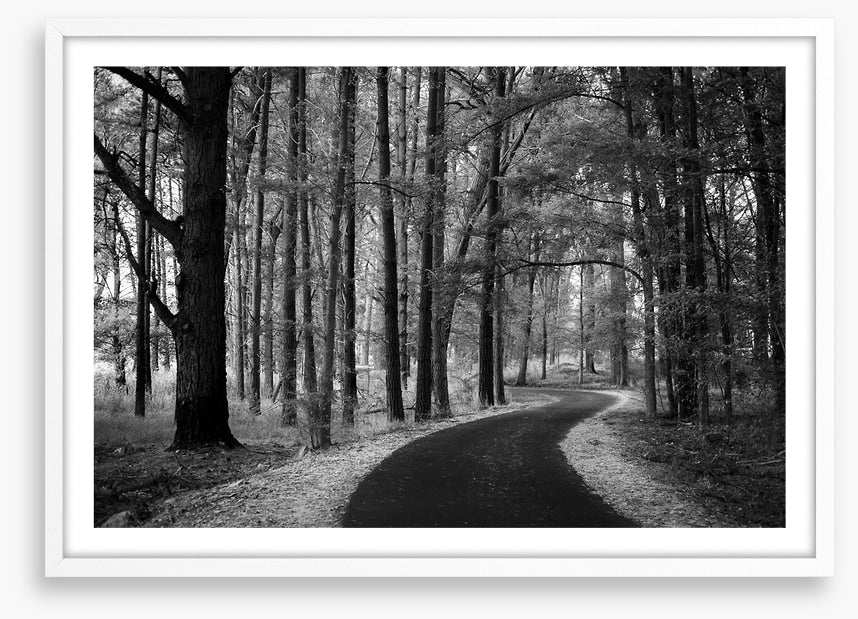 The winding path