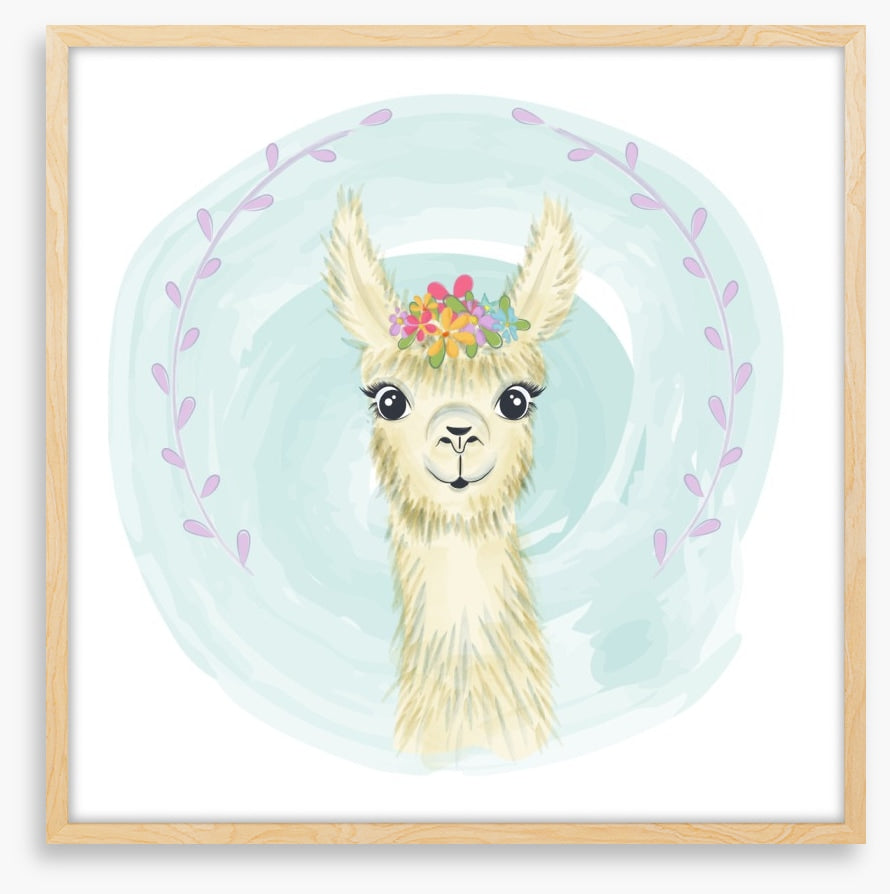 Little llama