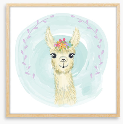 Little llama