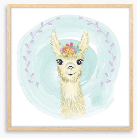 Little llama