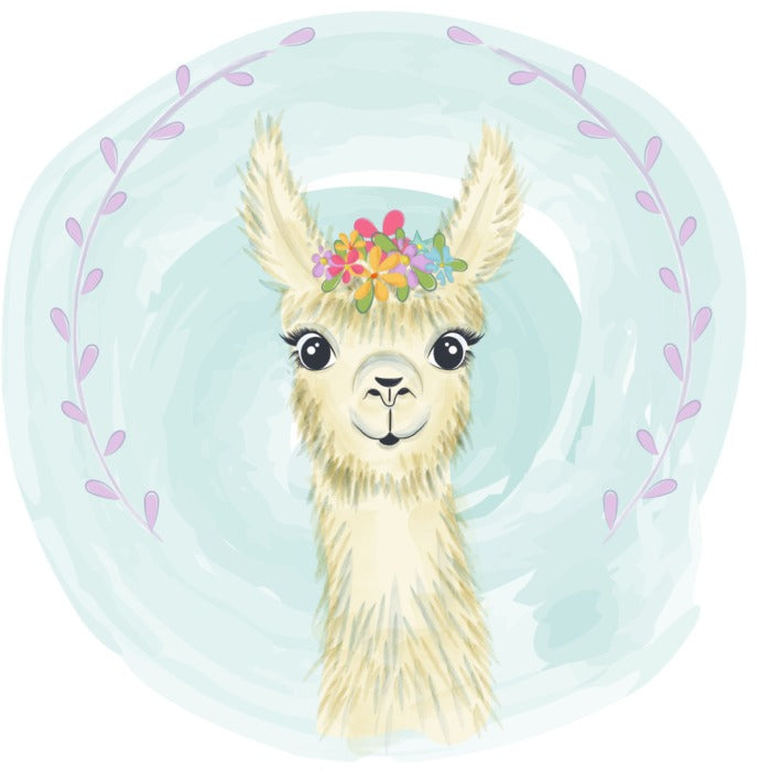 Little llama