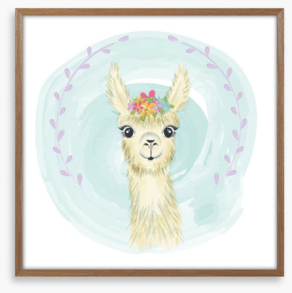 Little llama