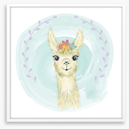 Little llama