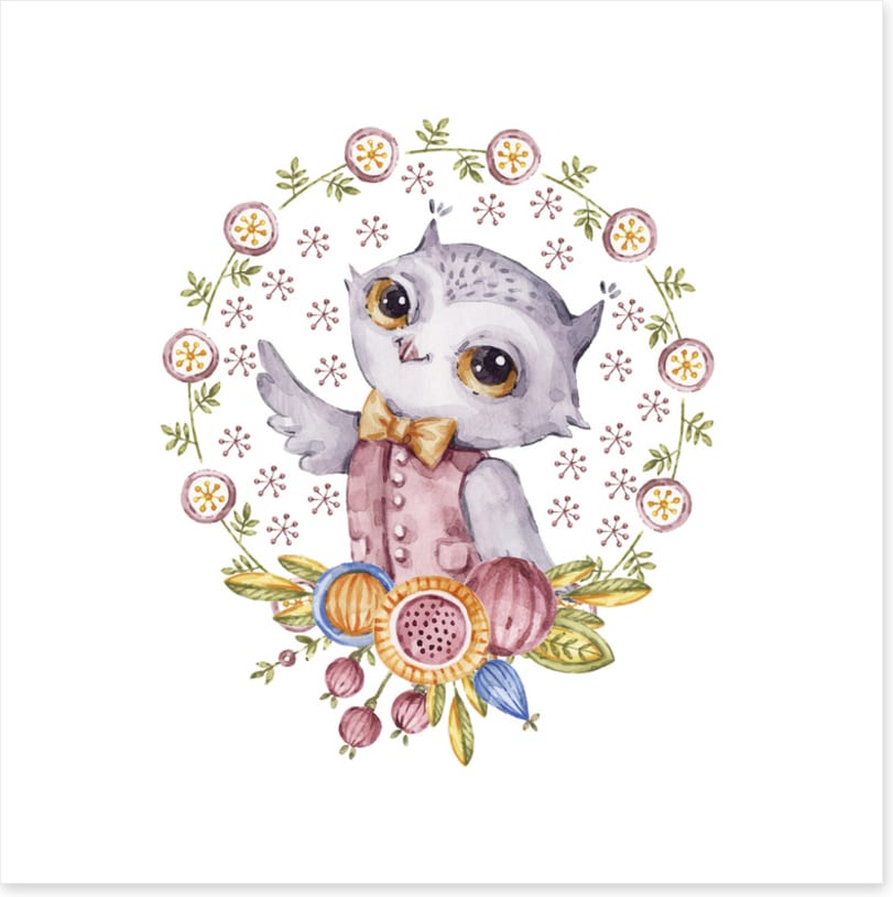 Owls