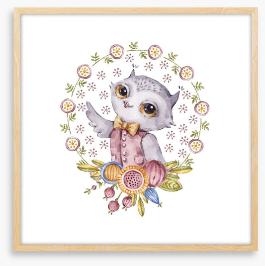 Owls