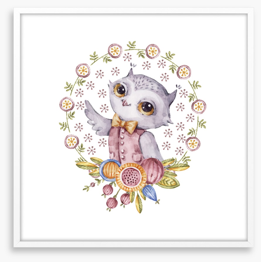Owls