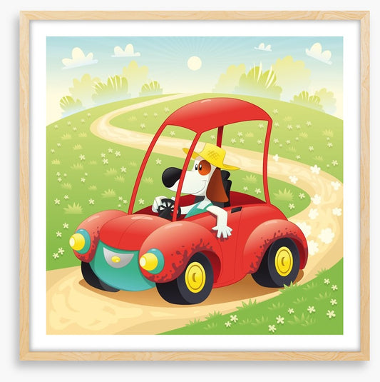 The beagle takes a drive