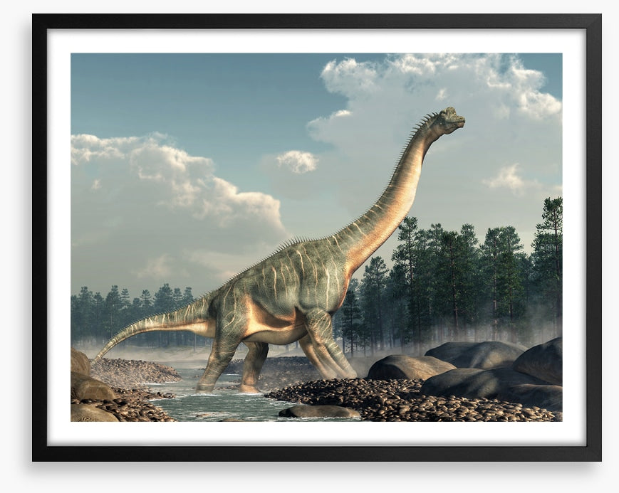 Brachiosaurus roam