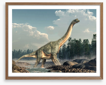 Brachiosaurus roam