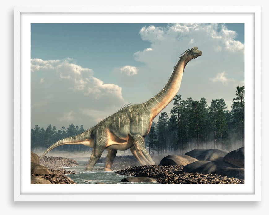 Brachiosaurus roam