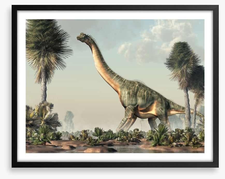 Brachiosaurus browse