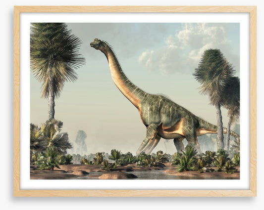 Brachiosaurus browse