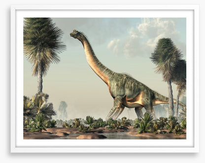 Brachiosaurus browse