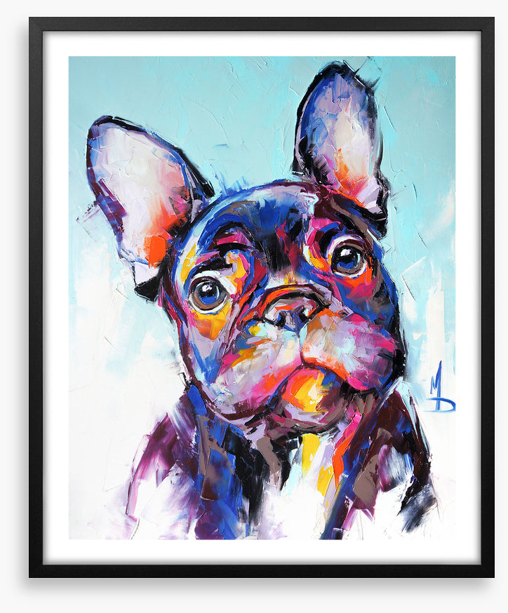 Beguiling bulldog