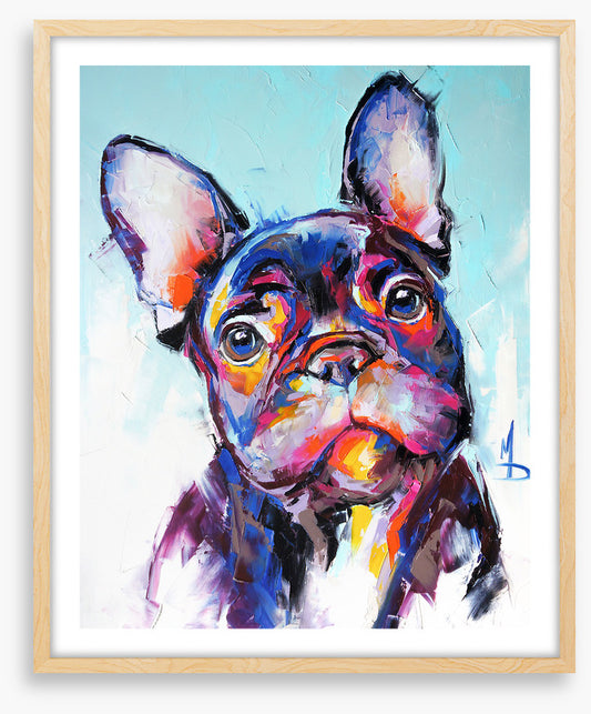 Beguiling bulldog