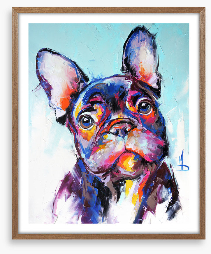 Beguiling bulldog