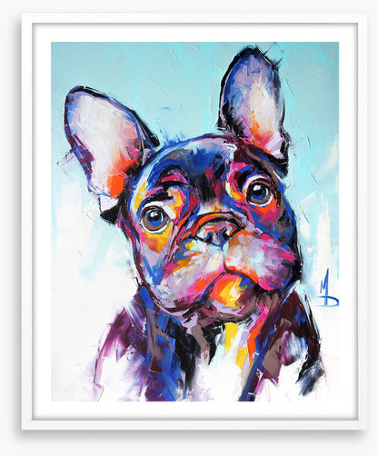 Beguiling bulldog
